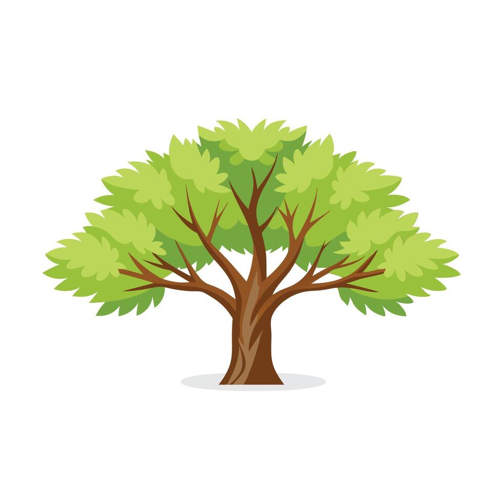 Hornbeam Locust tree isolated flat illustration on white background. vector
