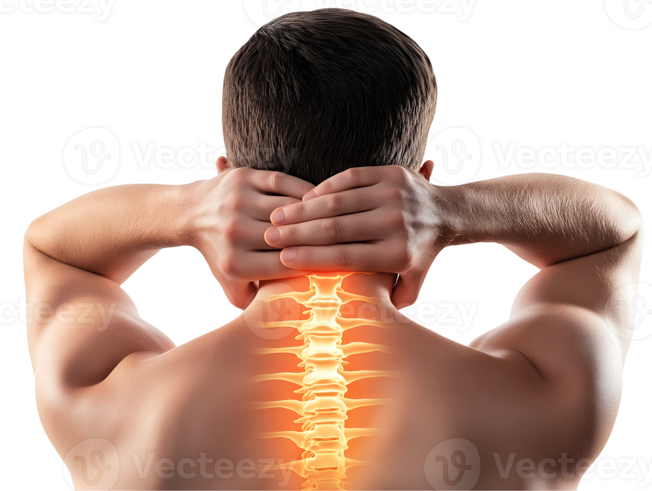 back view of a person suffering from neck pain with highlighted spine illustration on isolated background png