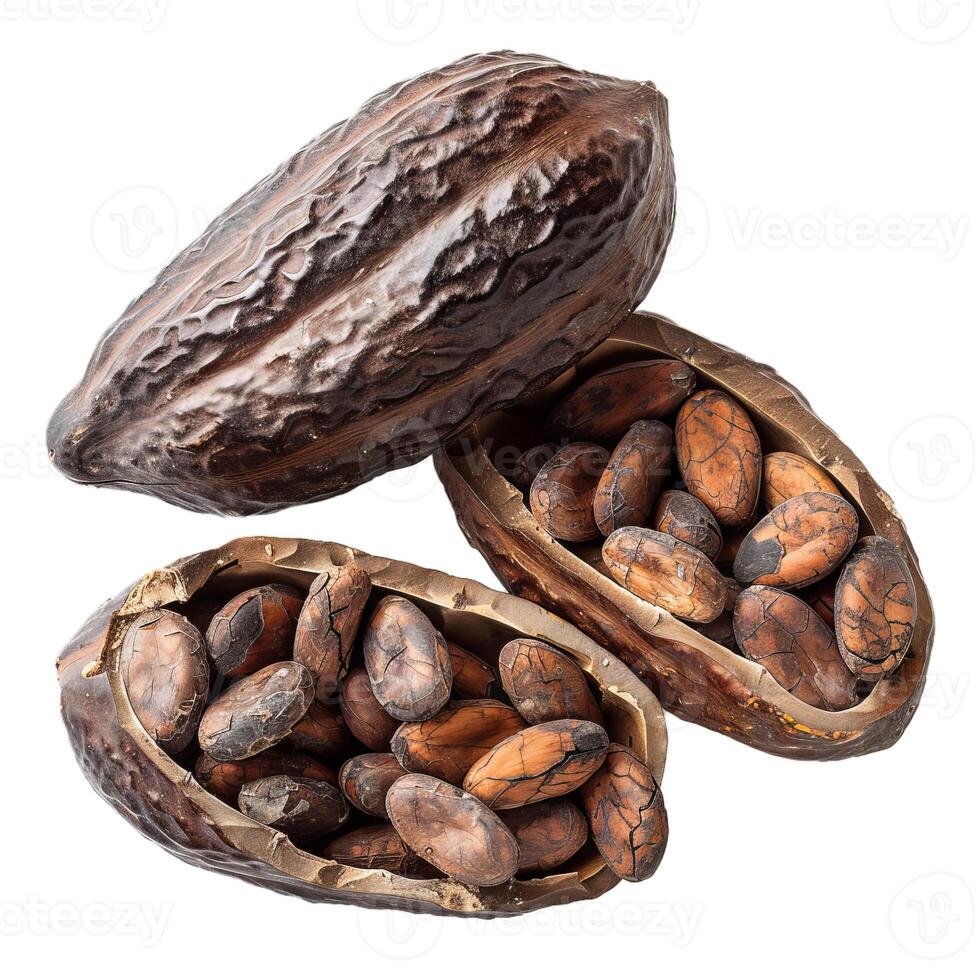 Cocoa pods with cocoa beans are lying on a white background photo