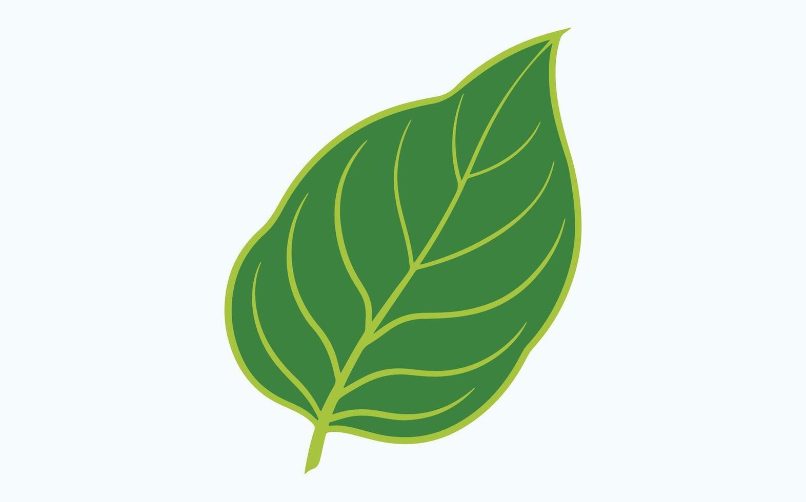 Green Leaf Minimalist icon vector