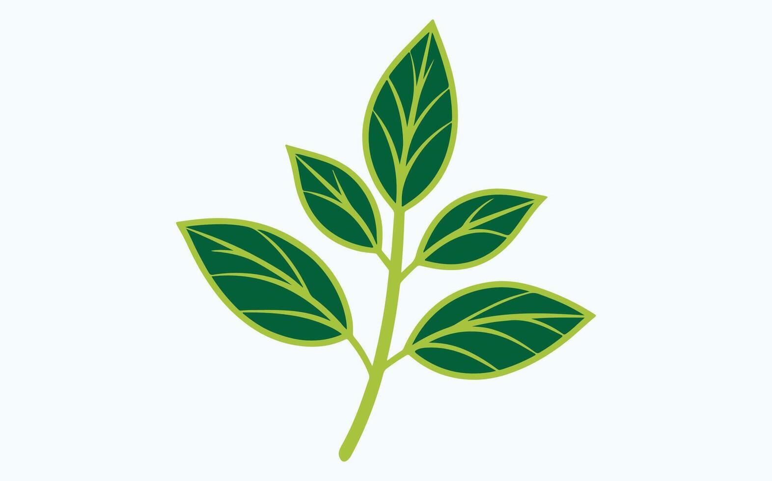 Green Leaf Abstract Patterns clipart icon illustration vector