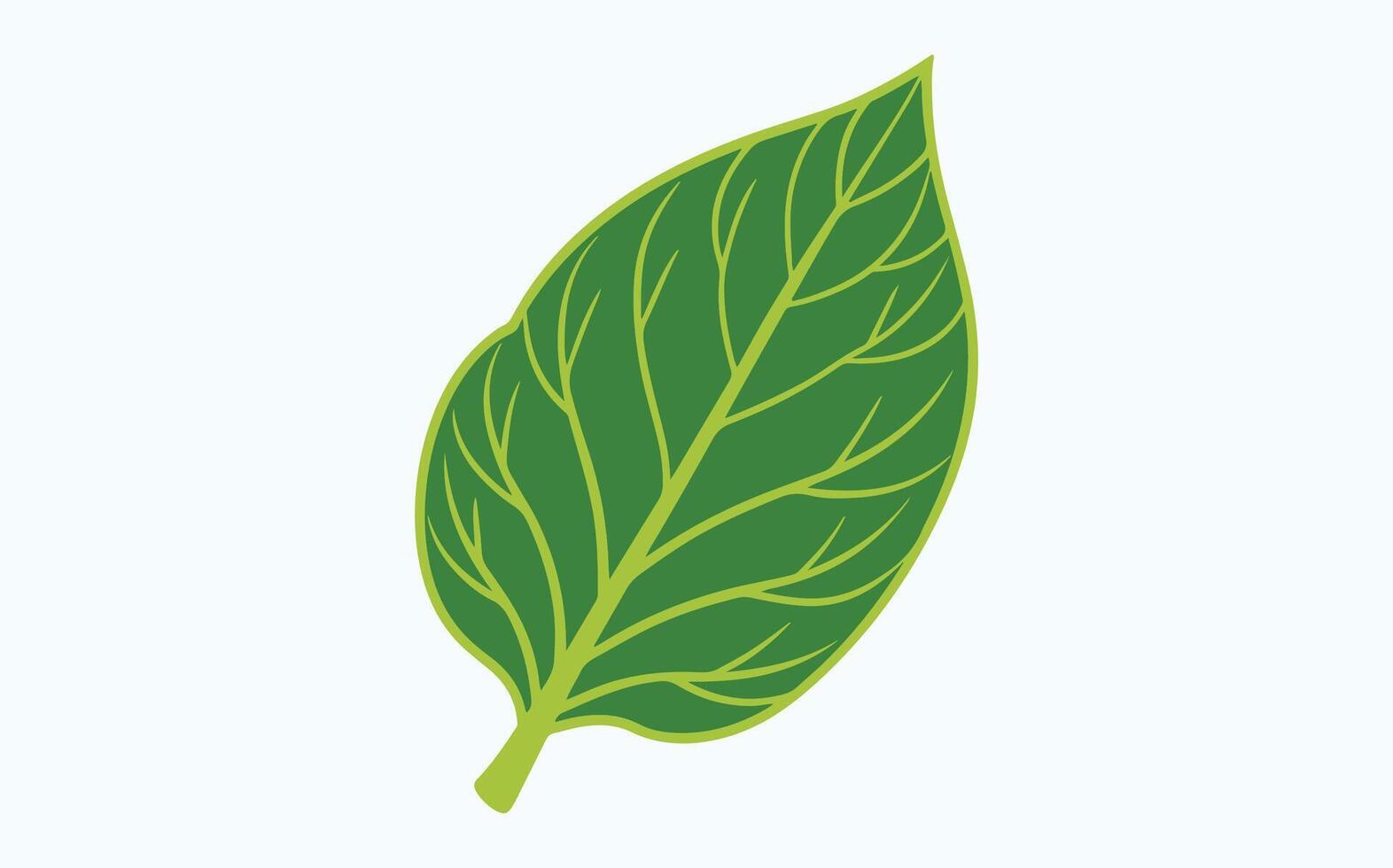Green Leaf Design icon vector