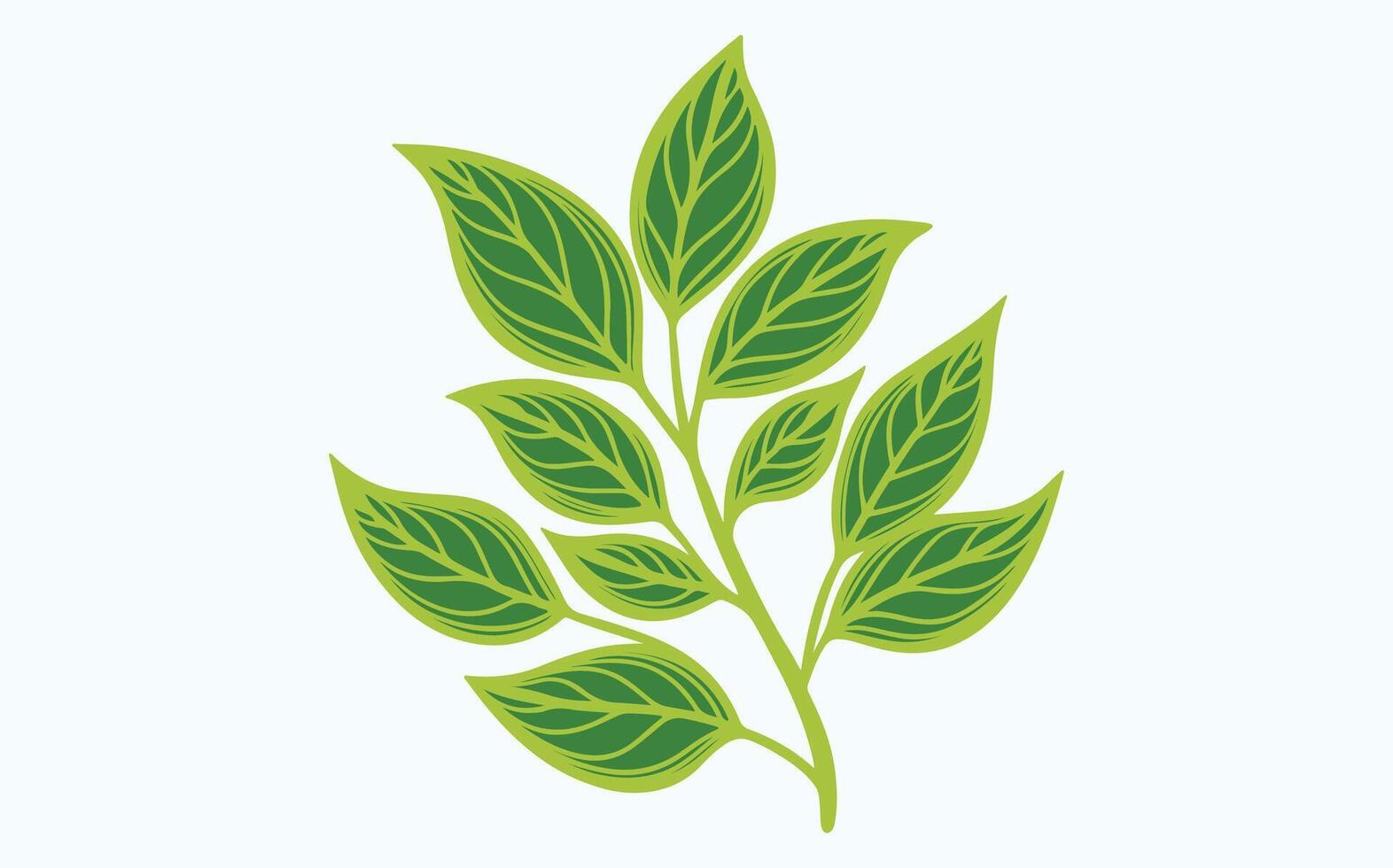 Green Leaf Design image vector