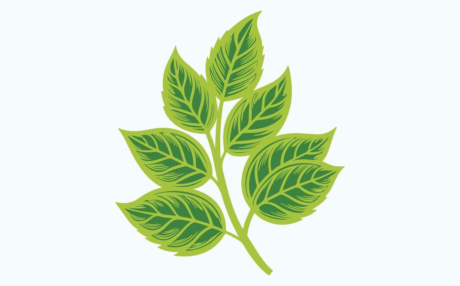 Green Leaf Watercolor Design icon clipart vector