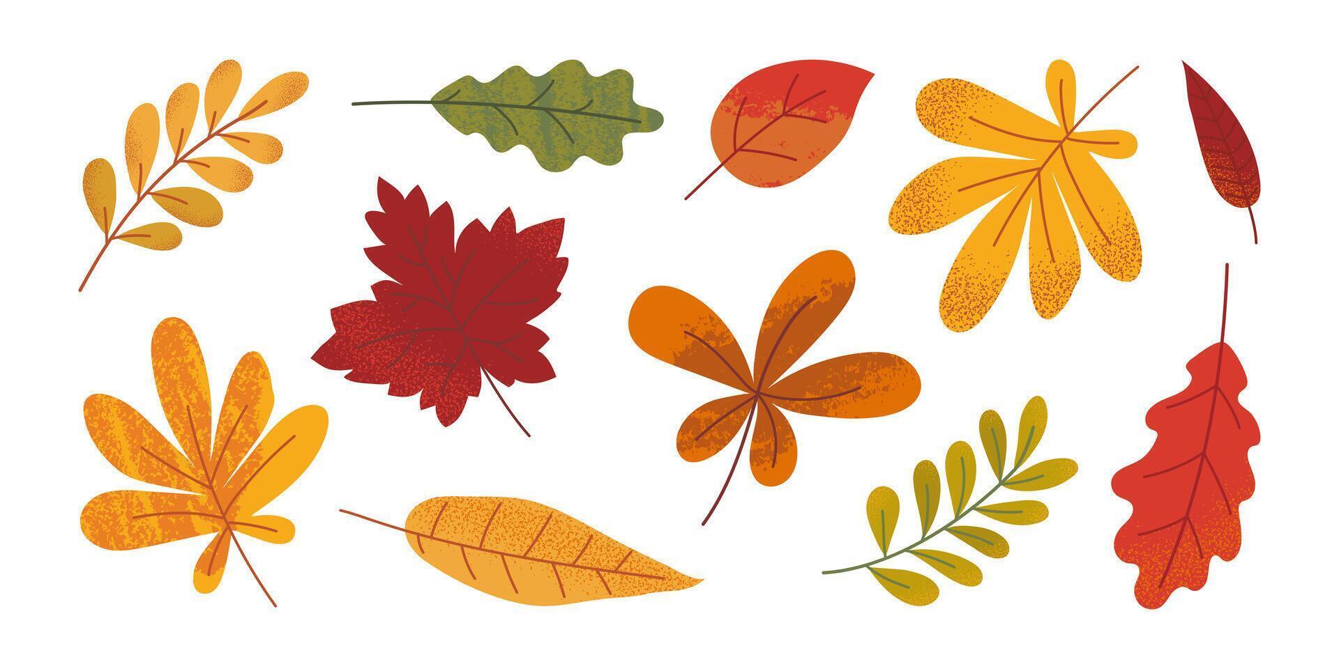 Collection of various hand drawn autumn leaves with grunge texture. Template of maple, oak, chestnut, rowan. Trendy flat illustration. vector
