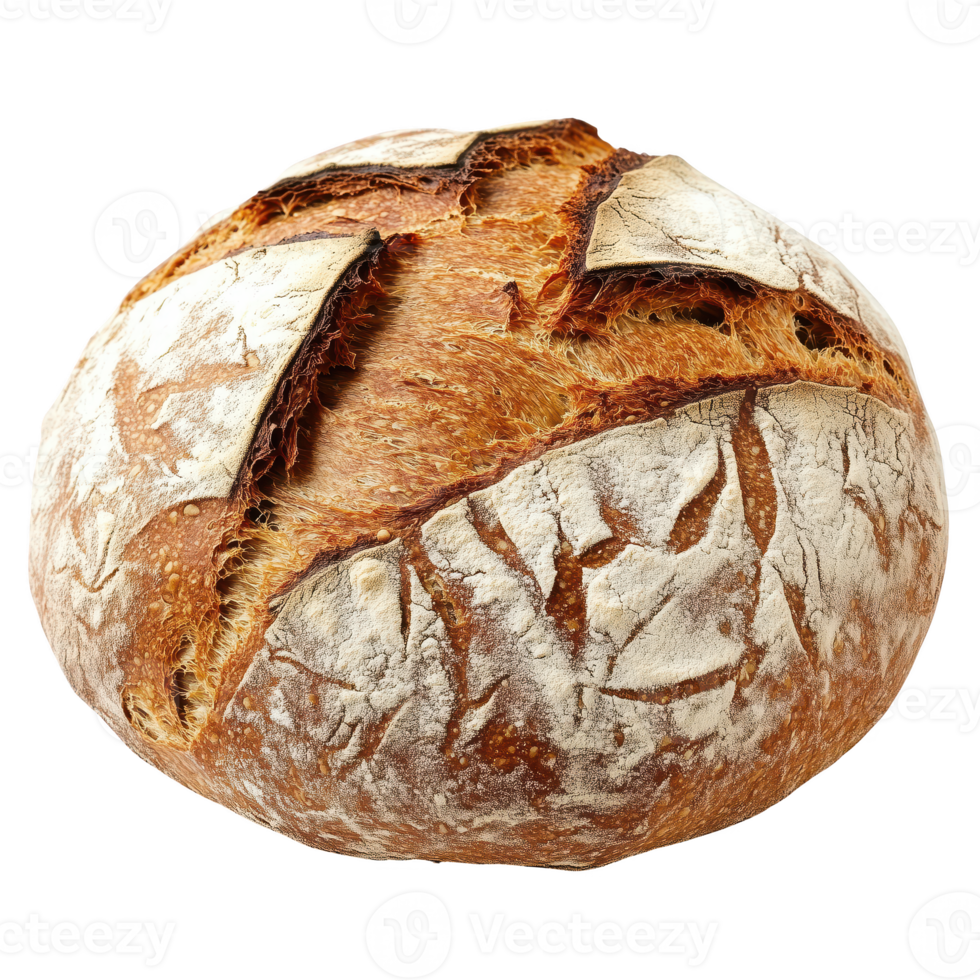 Freshly baked artisan bread loaf with a crispy crust, perfect for sandwiches and toasting. isolated on transparent background png