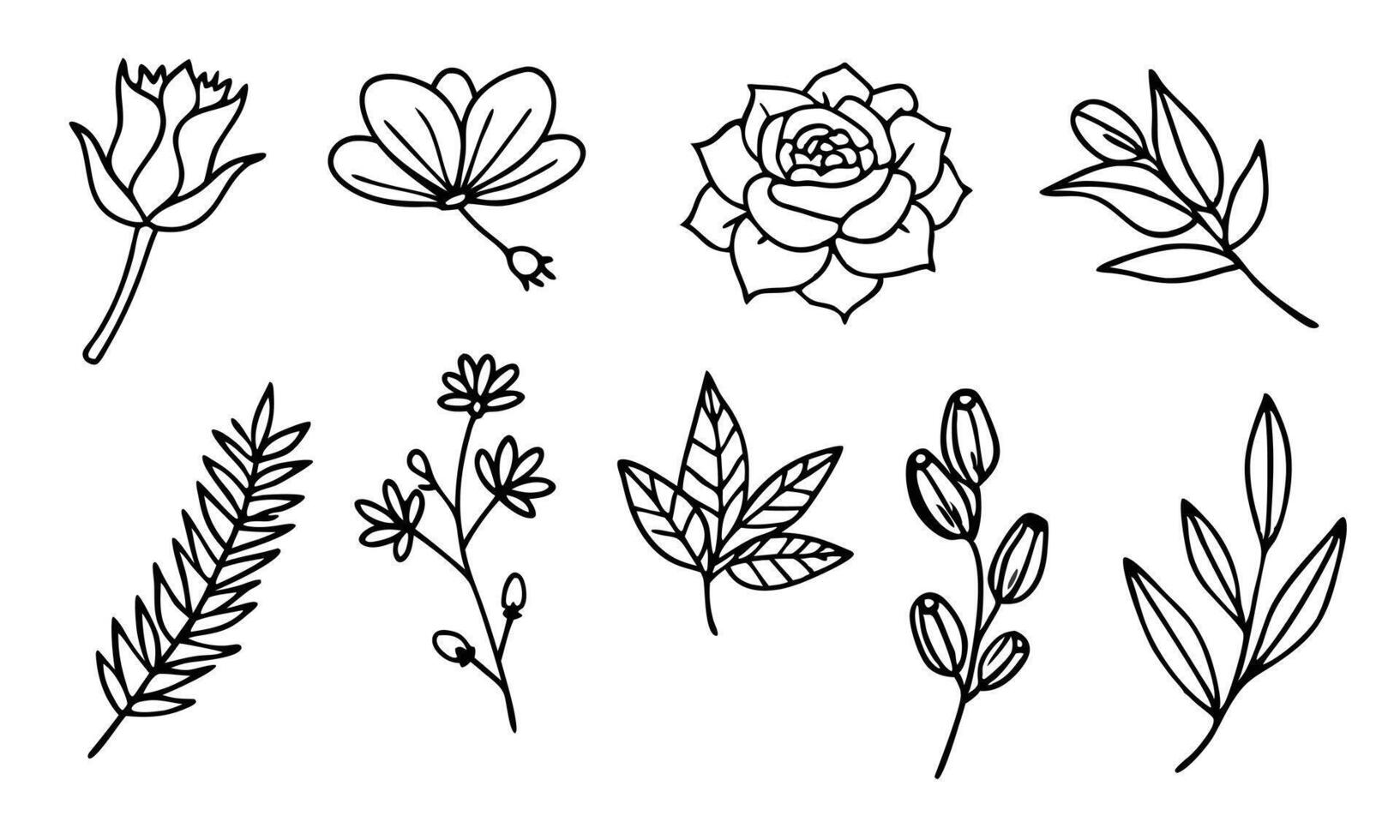 A set of black and white flowers and leaves vector