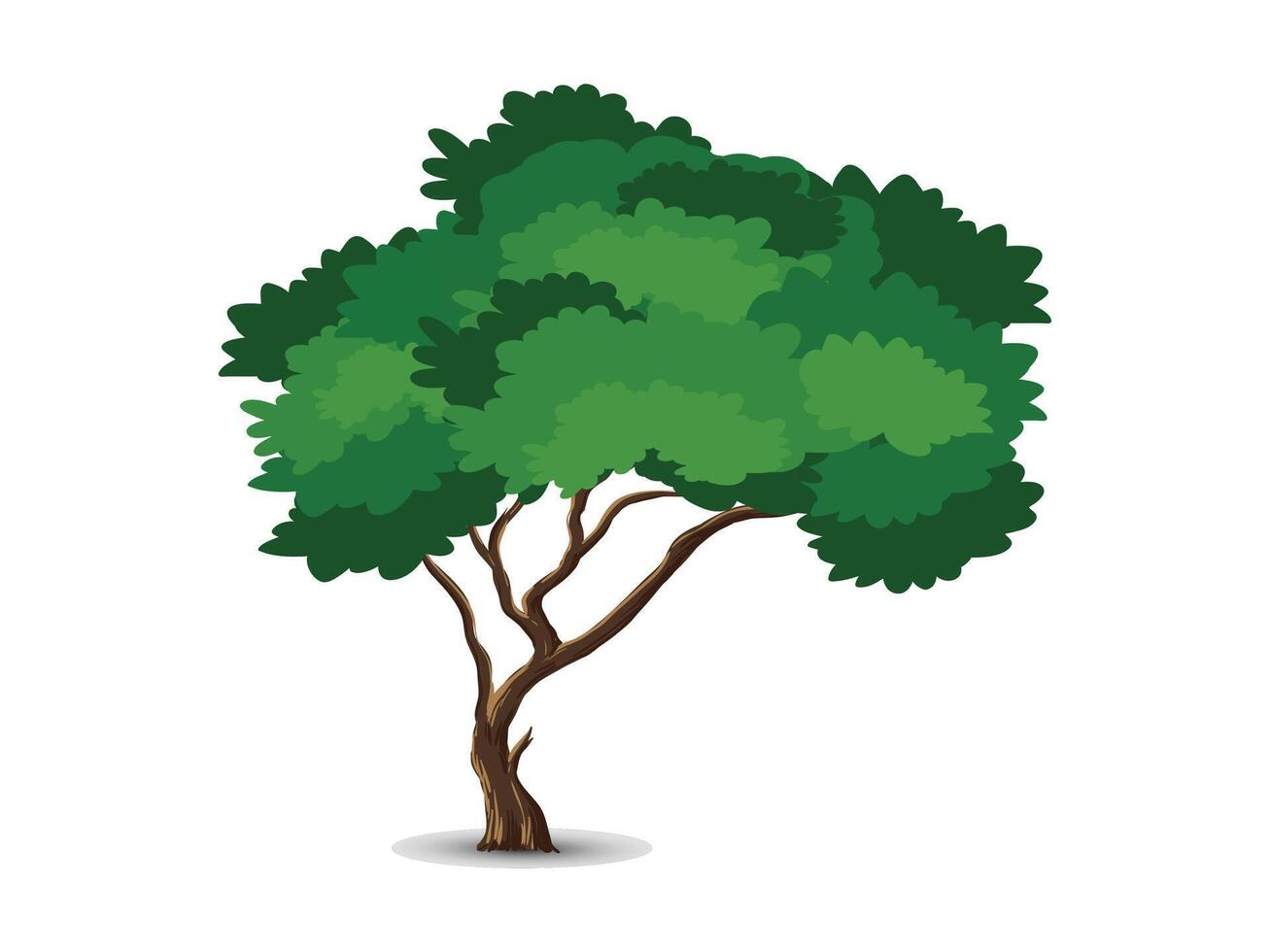 Realistic tree isolated on white background vector