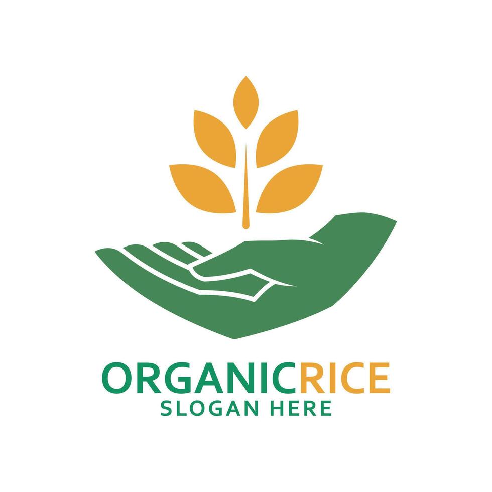 Organic rice farming logo, wheat logo or icon template. illustration. vector