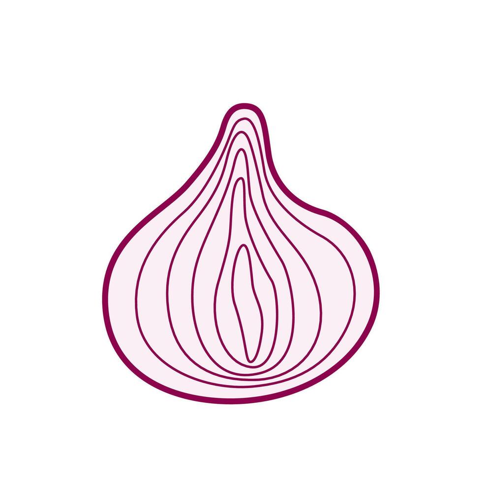 Red onion hand drawn , simple and stylized with elegant outlines and natural details vector