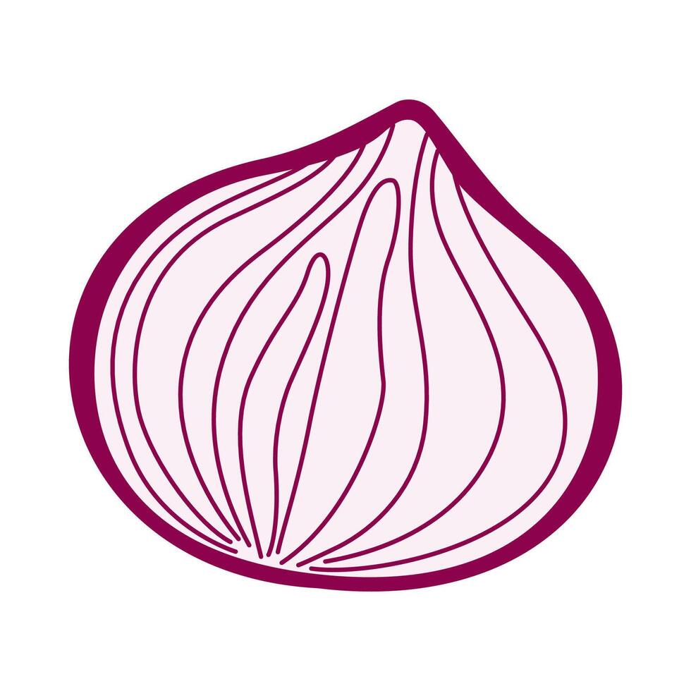 Hand drawn illustration of red onion half, detailed contours with vibrant purple accent vector