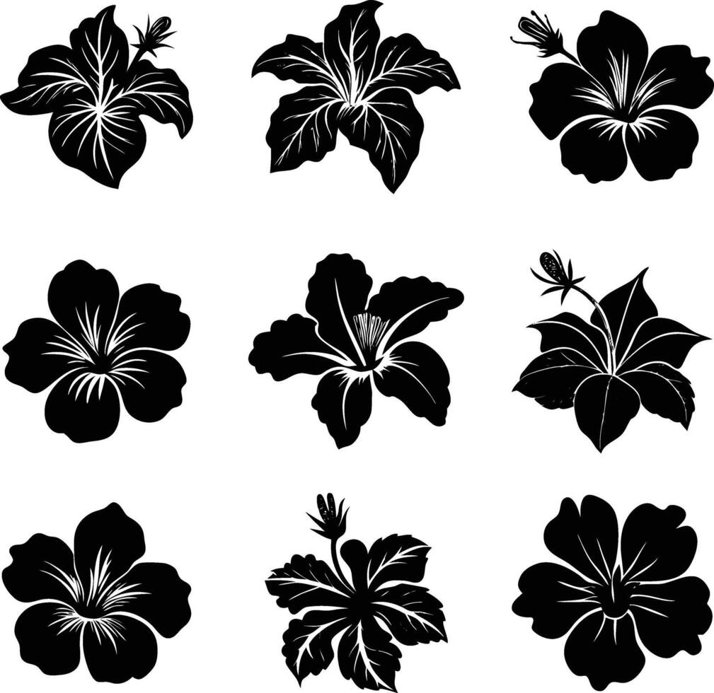 Set of Hibiscus Flower Silhouette Art with White Background vector