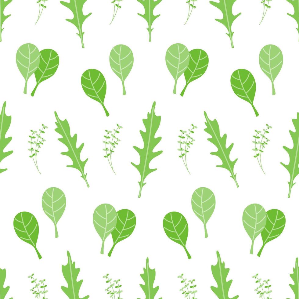 Seamless pattern of fresh greens, rucola, spinach, maoran. Illustration on white background. Proper nutrition and healthy lifestyle. vector