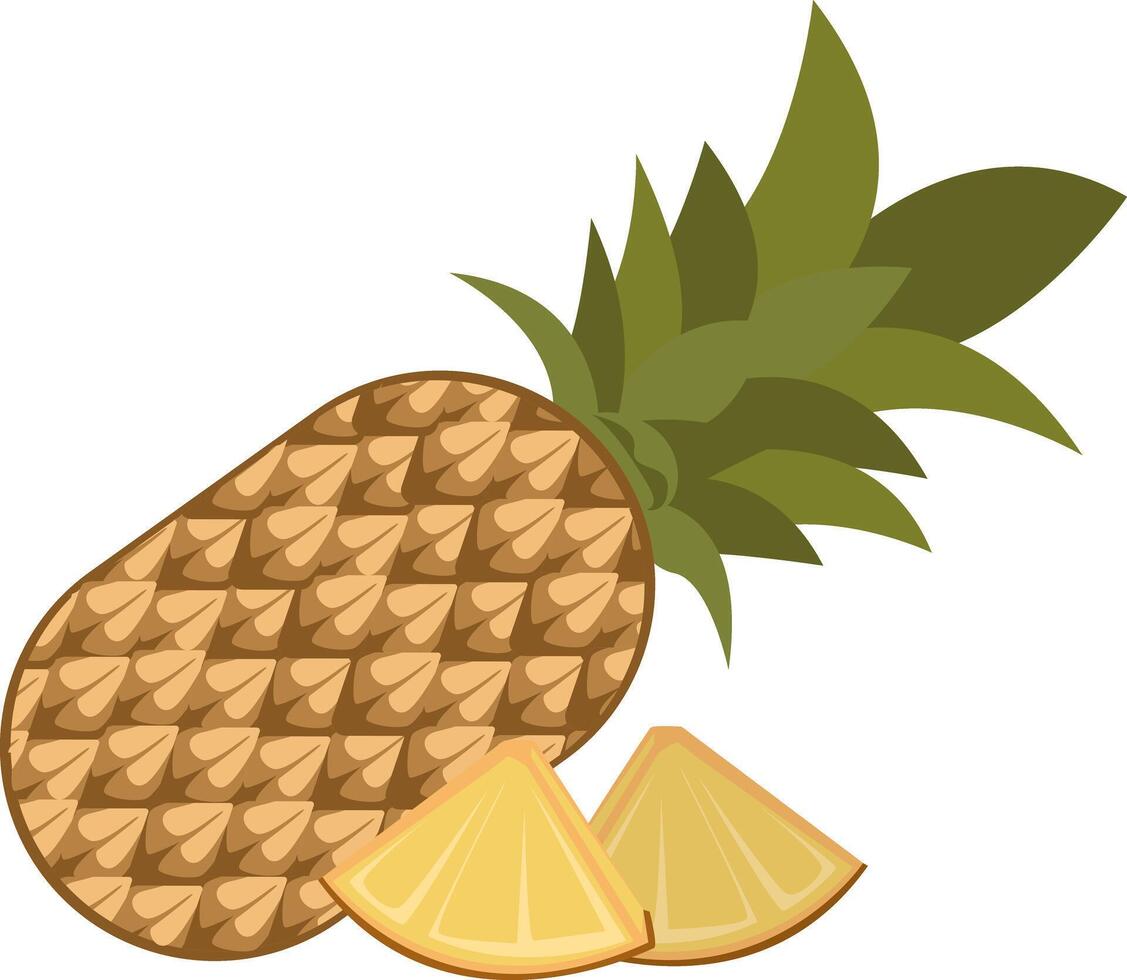 Fresh Pineapple Illustration and Slices vector