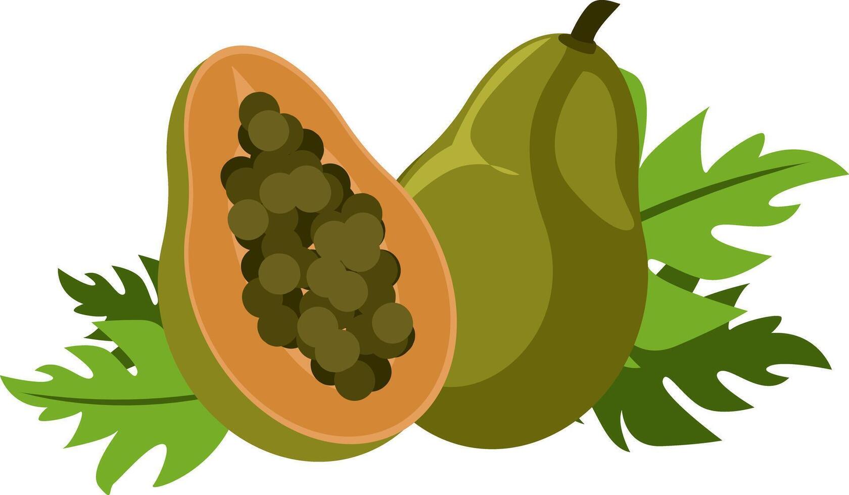 illustration of ripe papaya with its cut and seeds vector