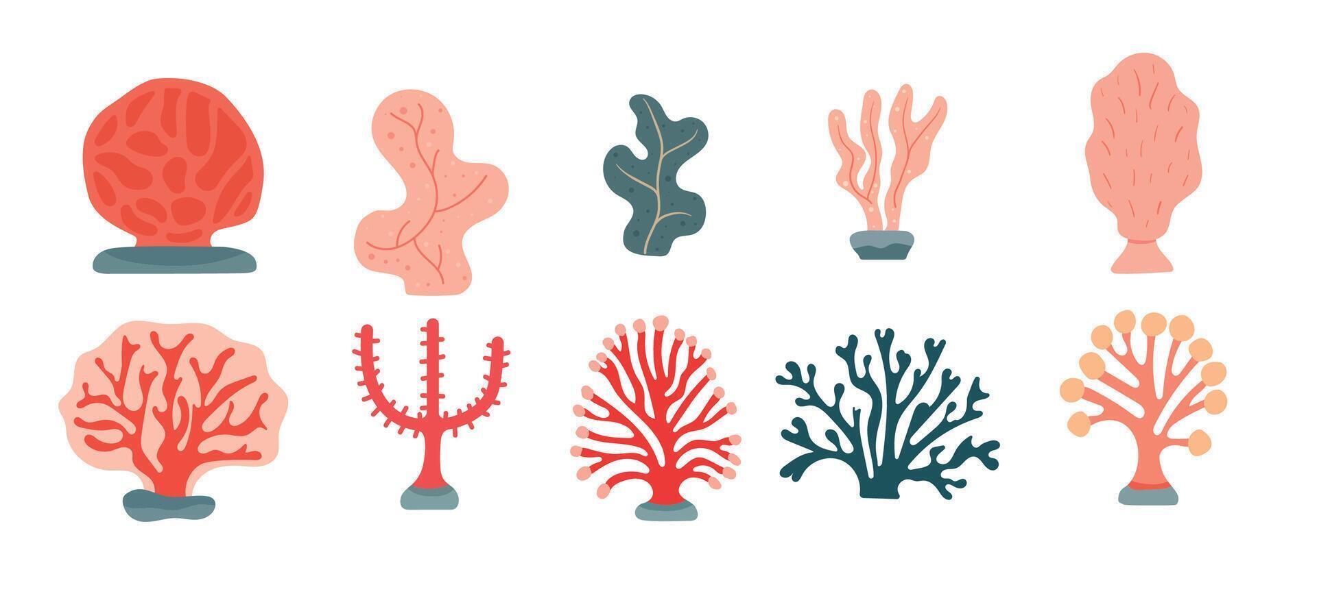 Various colorful coral reef elements collection with abstract shapes, branches, and fans vector