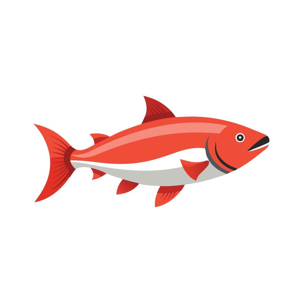Sockeye salmon animal isolated flat illustration on white background. vector
