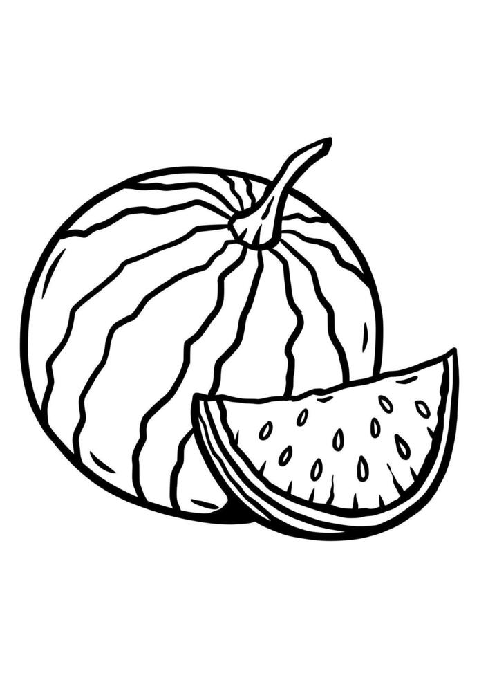 Drawing watermelon for kid vector