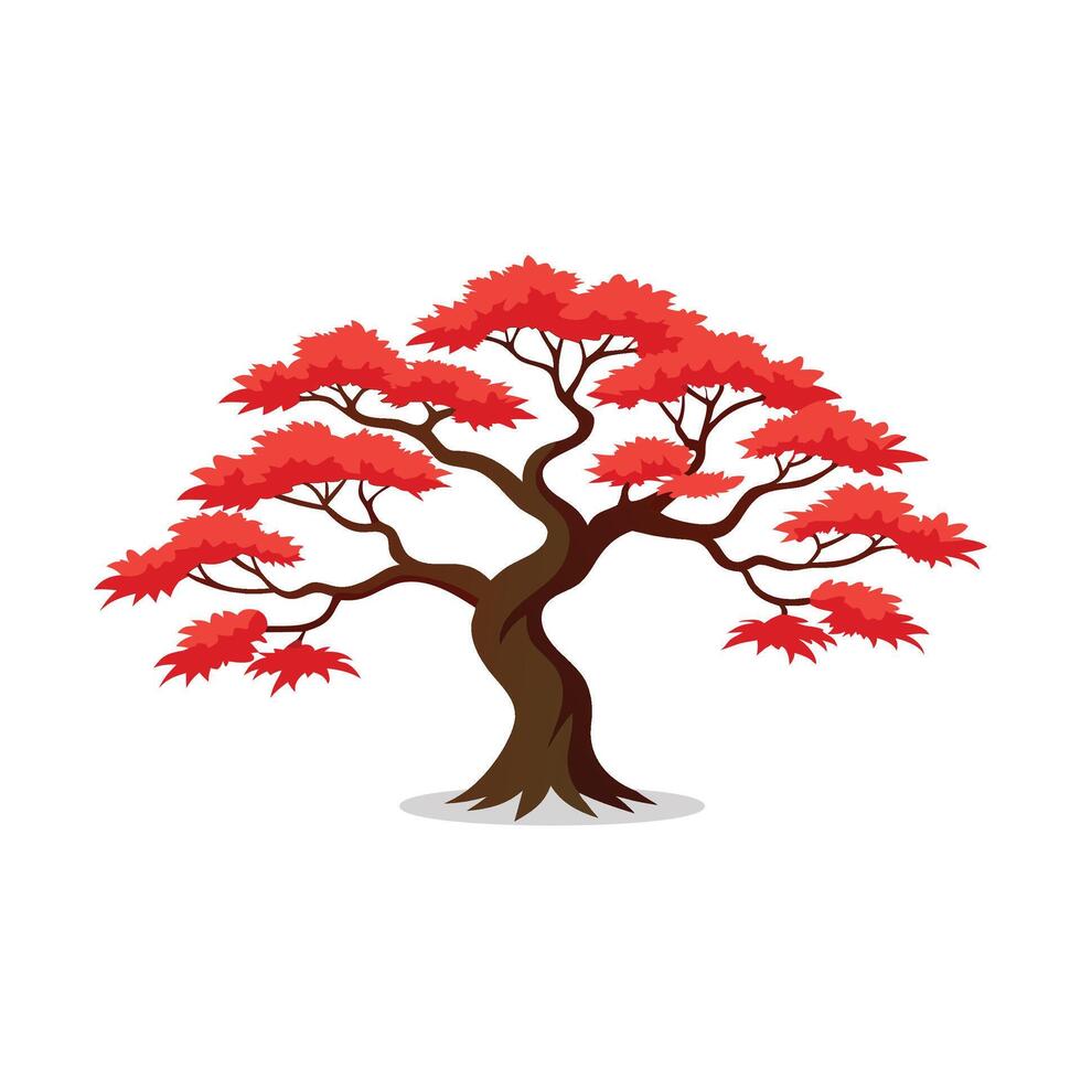Japanese Maple tree isolated flat illustration on white background vector