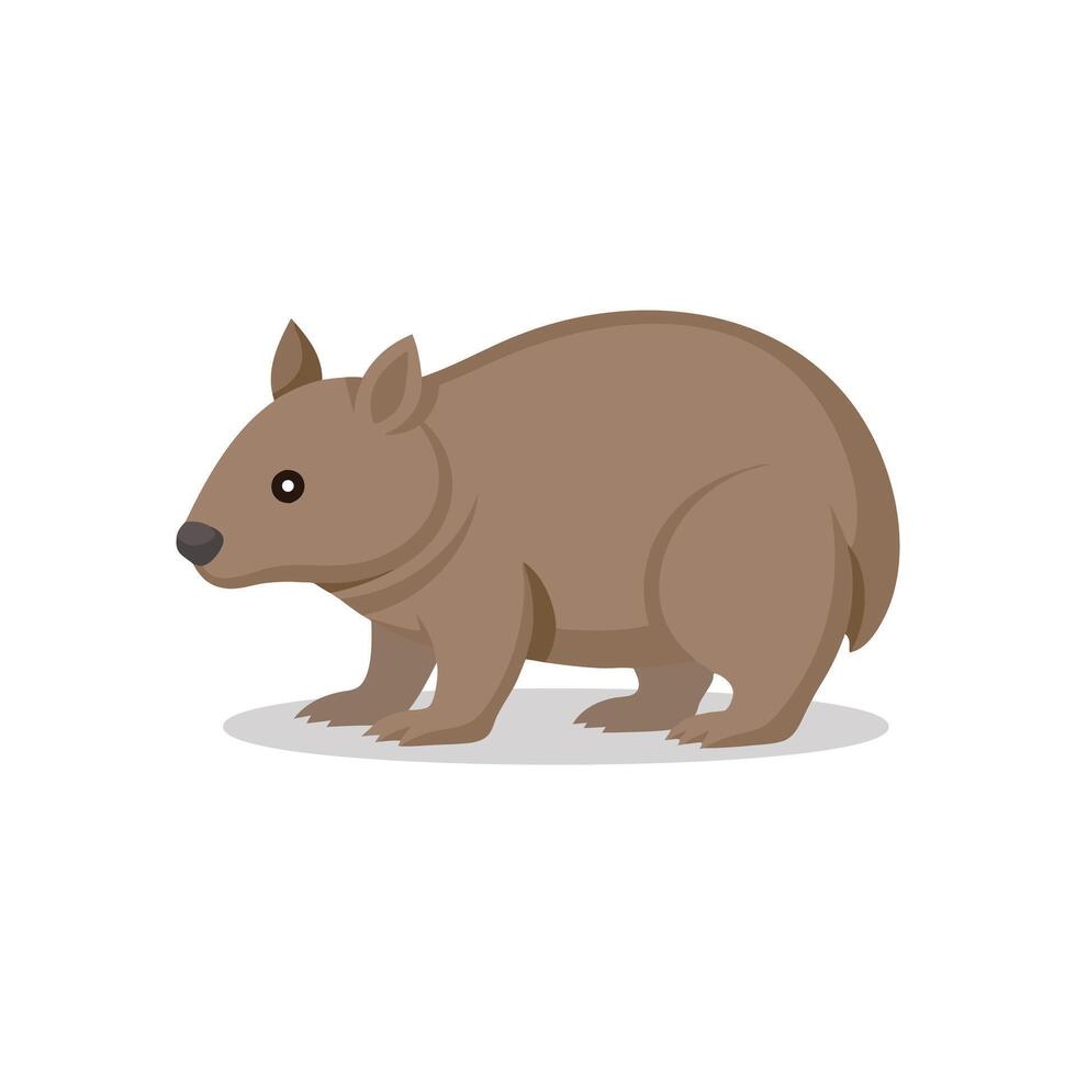 Wombat animal isolated flat illustration on white background. vector