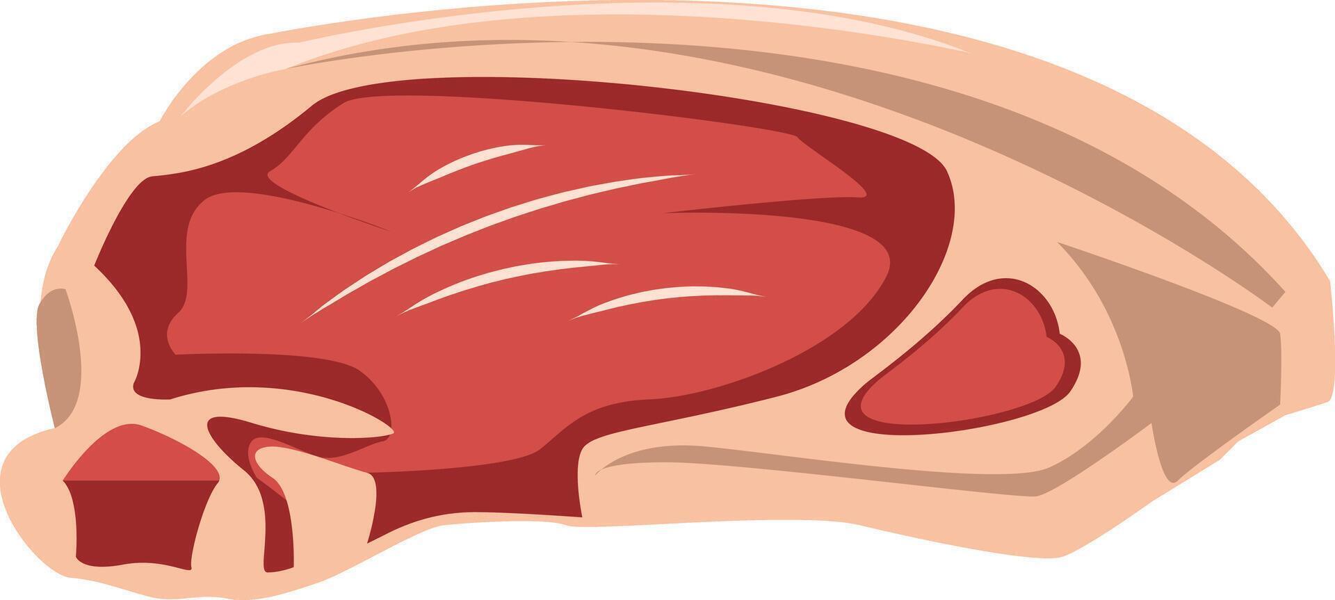 Fresh Raw Sirloin Steak Meat Illustration vector