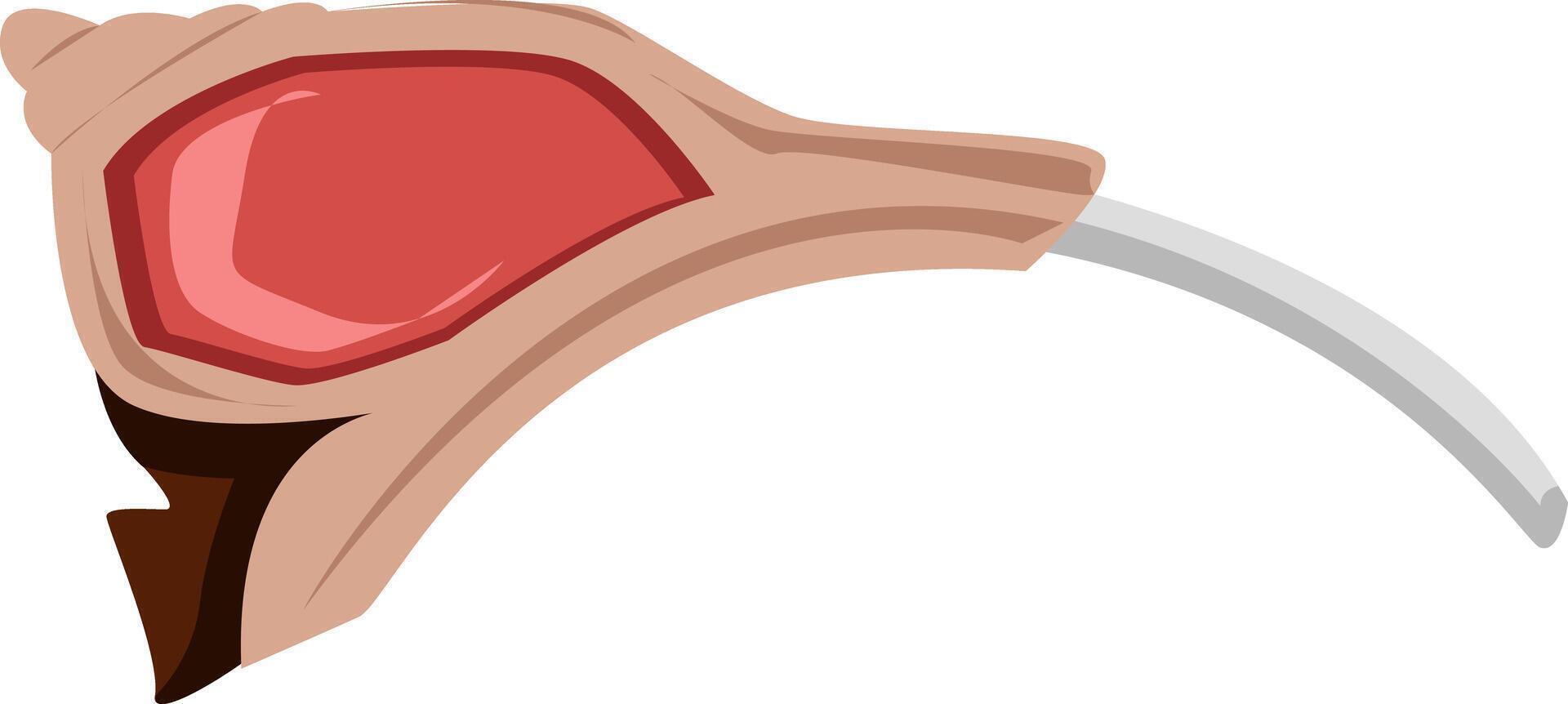 Fresh Raw Chop Meat for Gourmet Cooking vector
