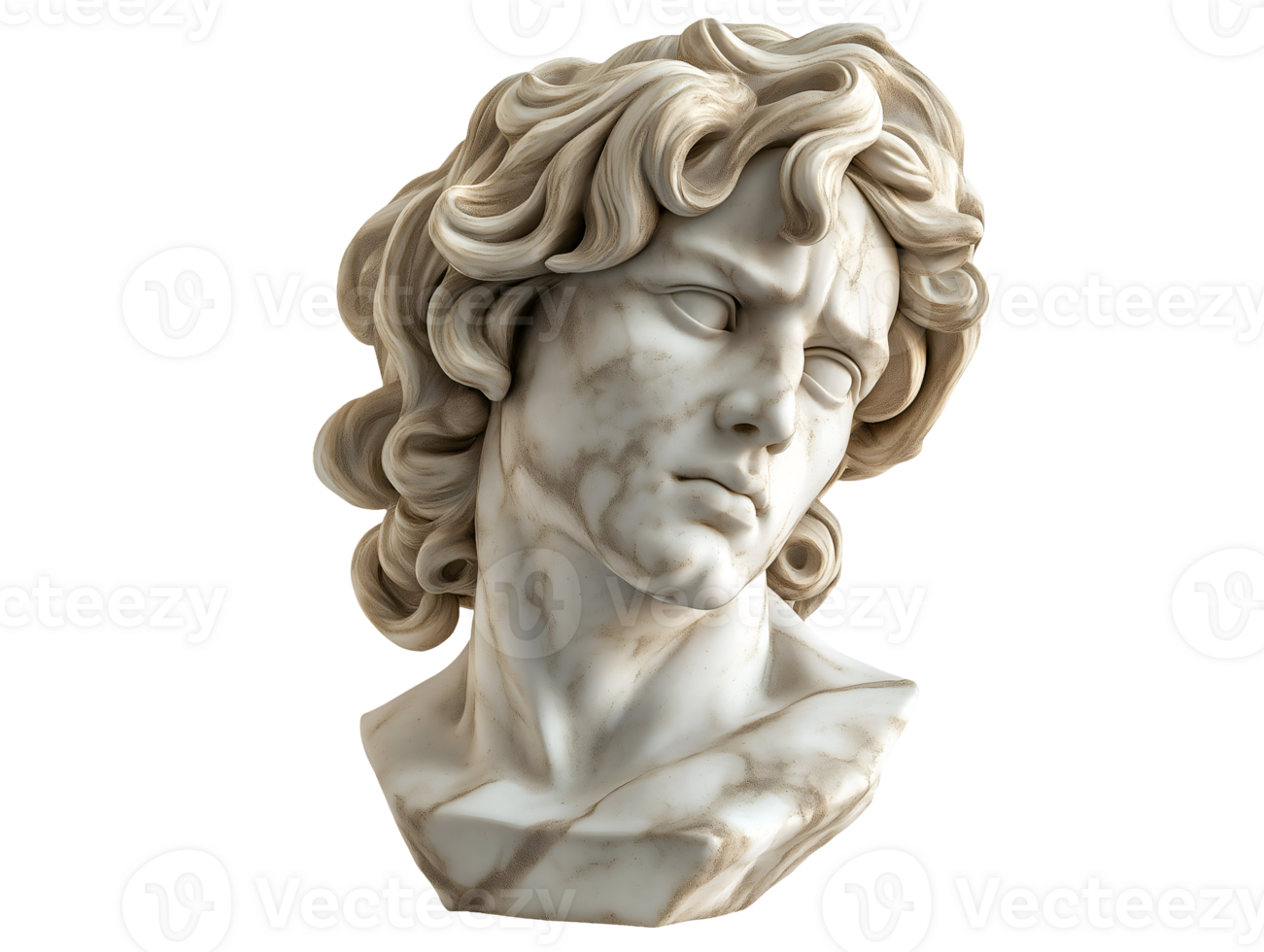 bust of alexander the great with flowing hair and intricate marble details on isolated background png