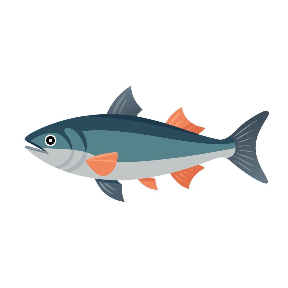 Salmon animal isolated flat illustration on white background vector