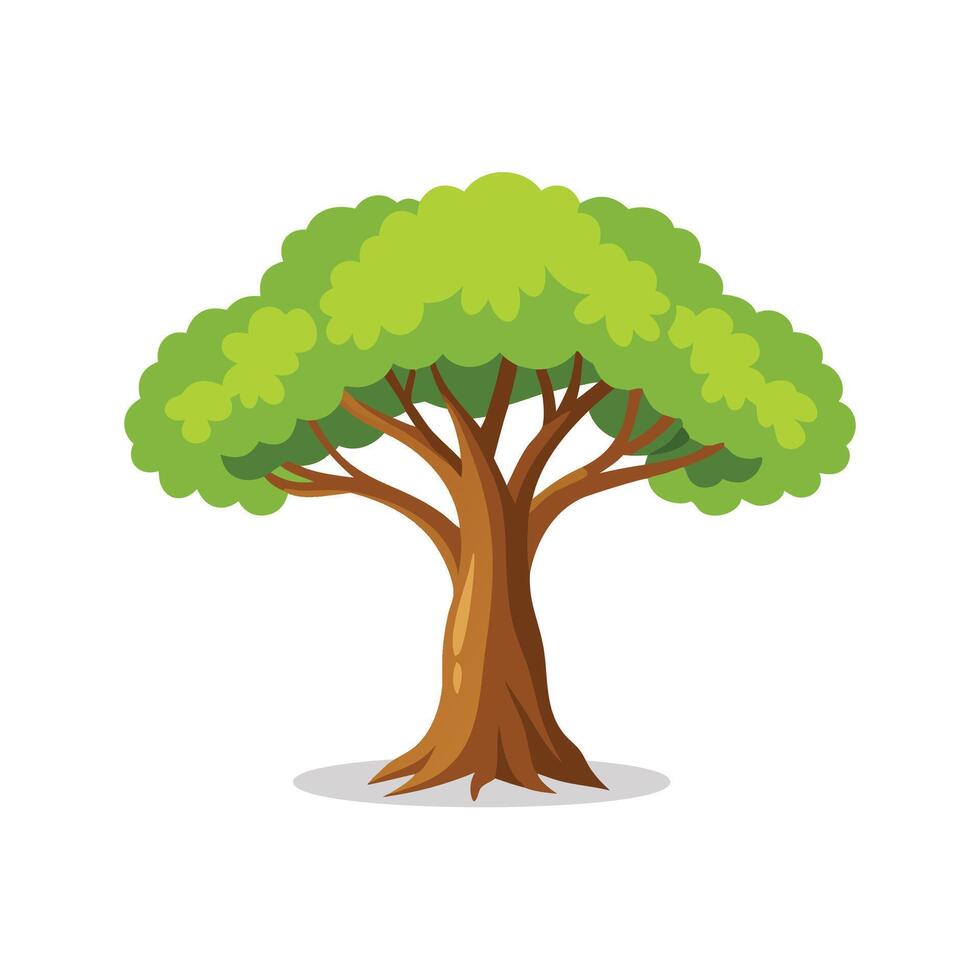 Olive Locust tree isolated flat illustration on white background. vector