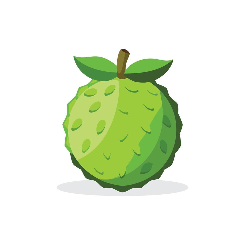 Noni fruit isolated flat illustration on white background. vector