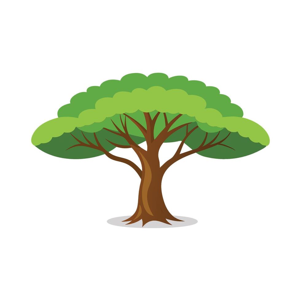 Paulownia Locust tree isolated flat illustration on white background. vector