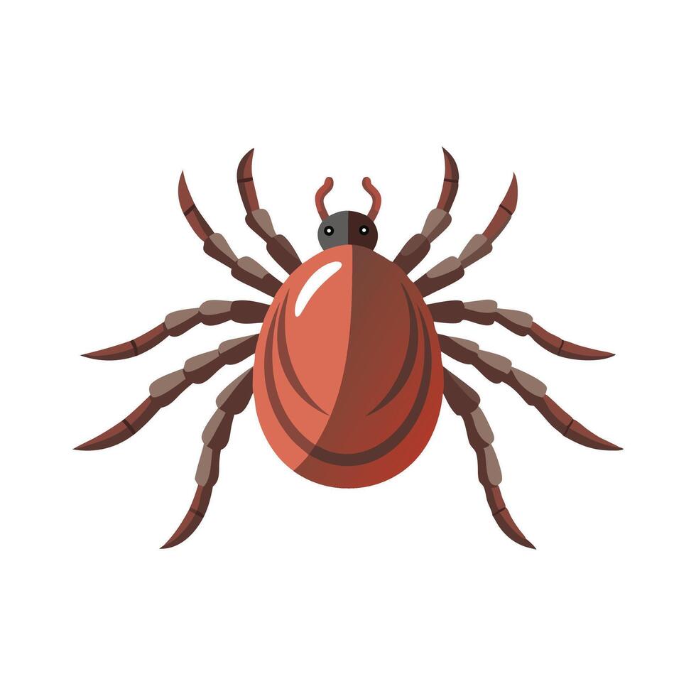 tick animal isolated flat illustration on white background. vector