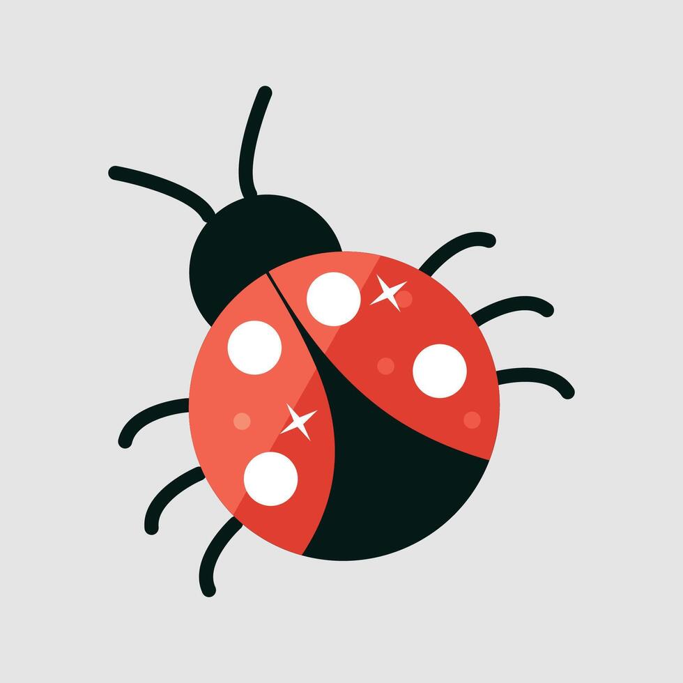 lady bug insect in flat design. vector