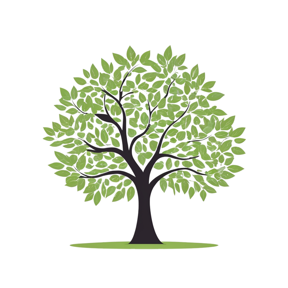 Green tree on transparent background, tree png