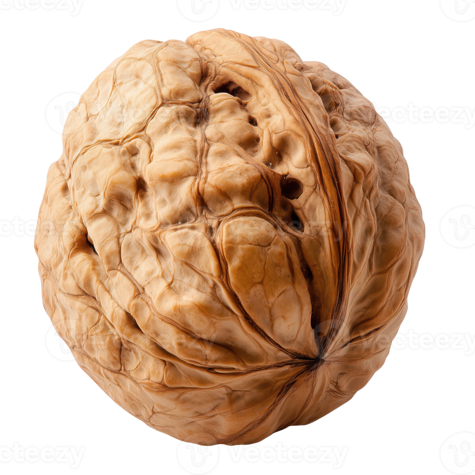 Close-up of a walnut, showcasing detailed texture and natural color isolated on transparent background. png