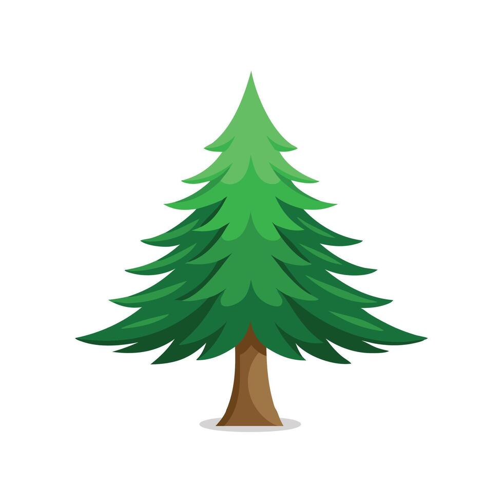 Norway Spruce tree isolated flat illustration on white background vector