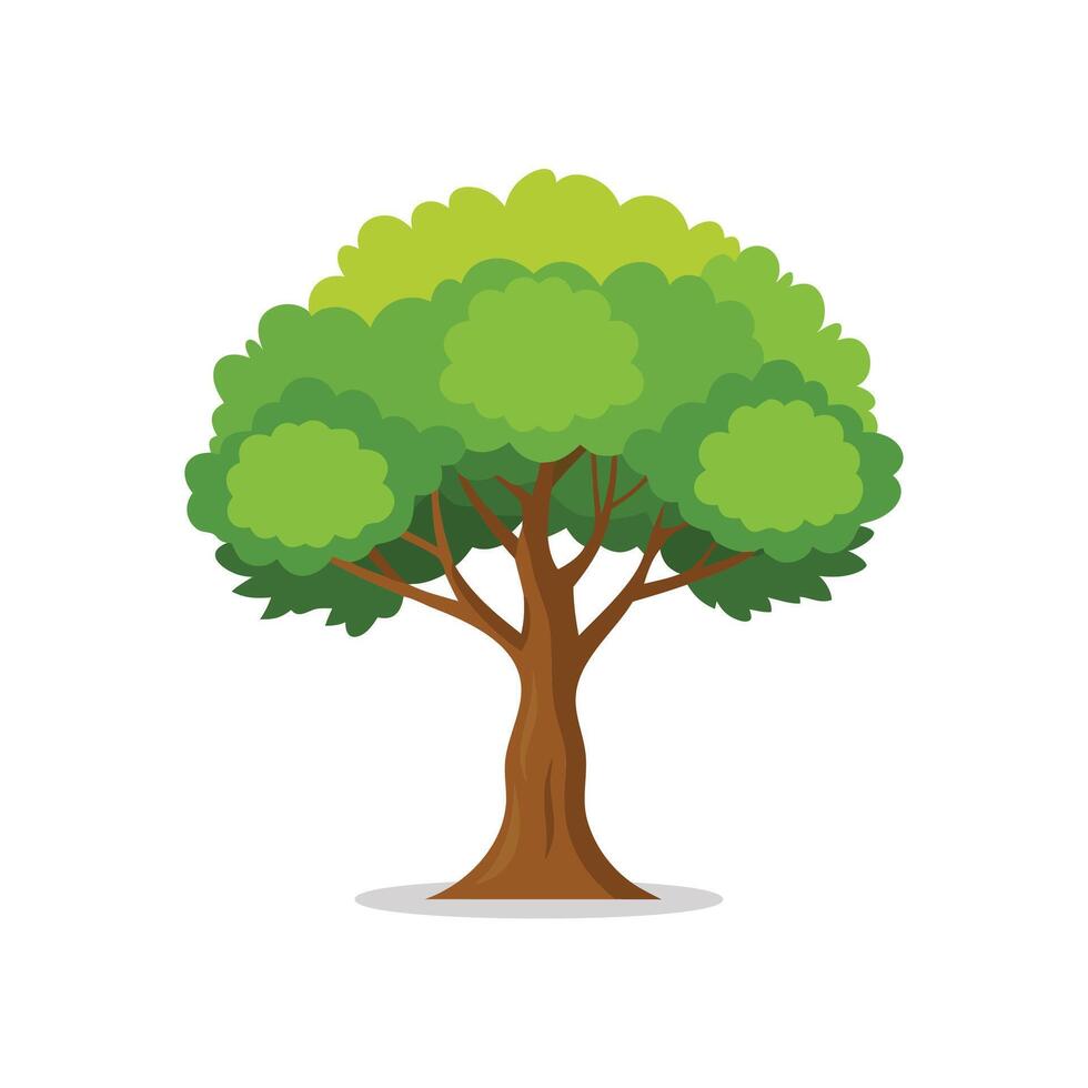 Hophornbeam tree isolated flat illustration on white background vector