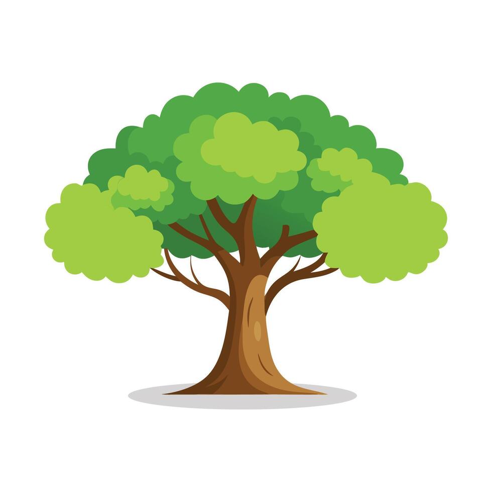 Shumard Oak tree isolated flat illustration on white background. vector
