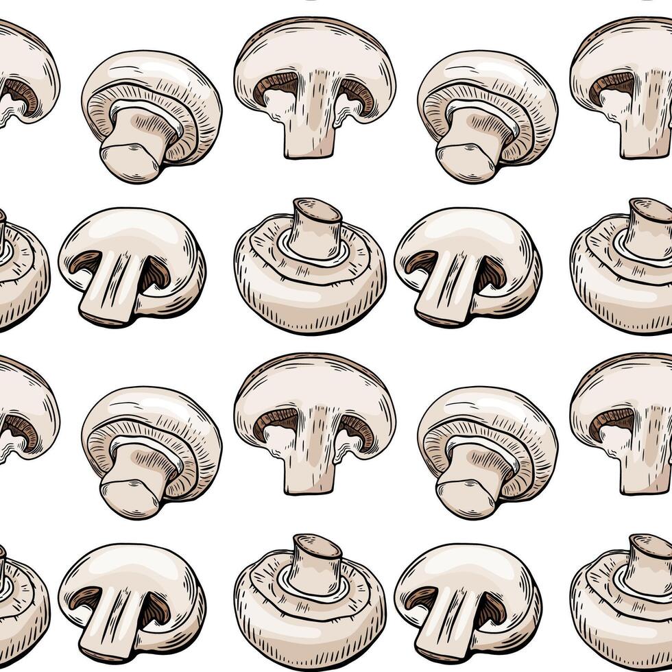 Seamless pattern, sketch of a champignon mushroom, color engraving. Hand drawing vector