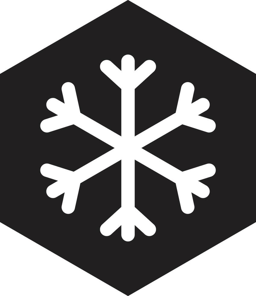 Cold hexagon icon . Snowflake icon in hexagon . Frost icon . illustration vector