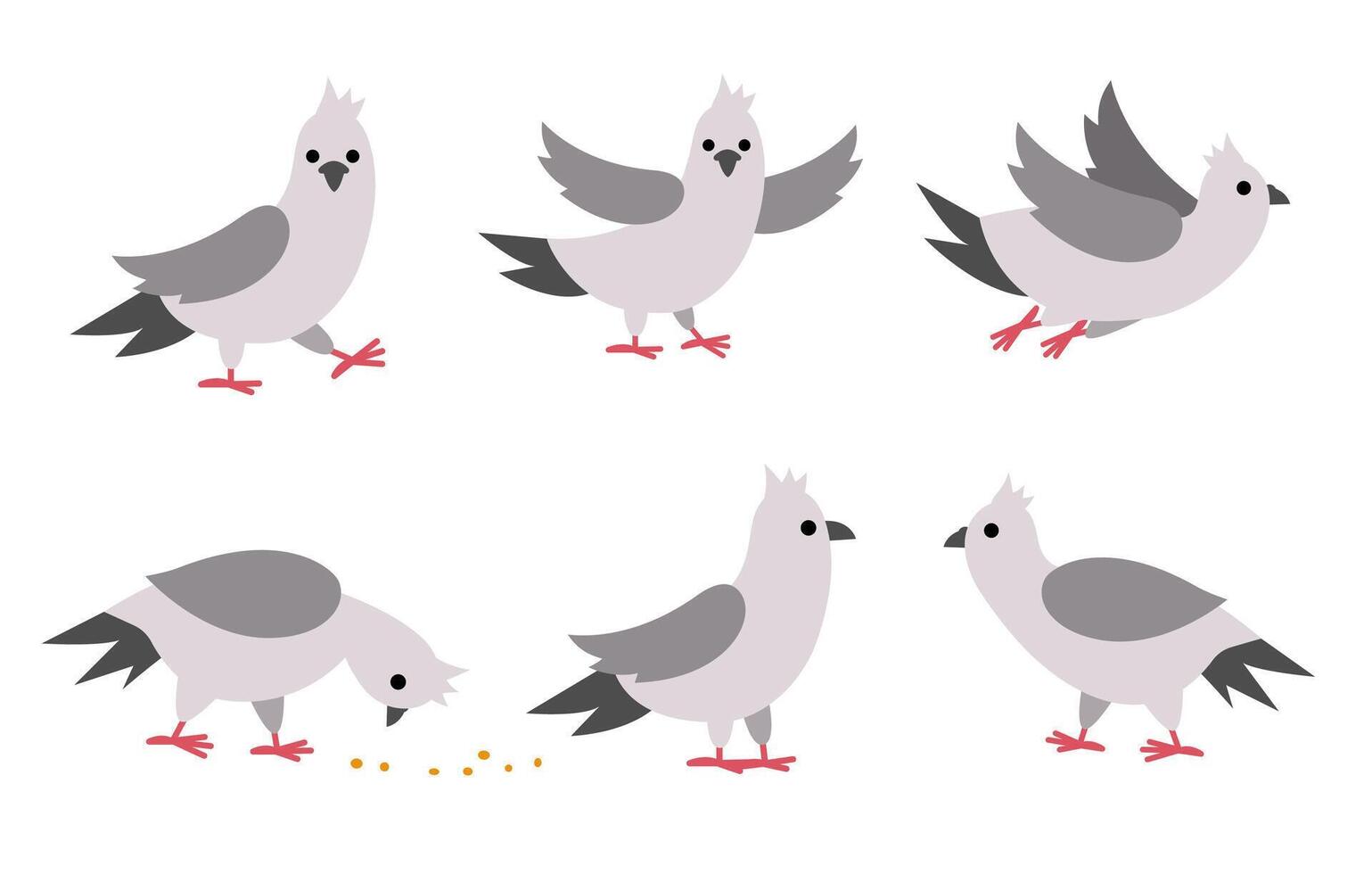 Pigeons set. City bird illustration. Cute character icons collection isolated on white background. French symbol picture vector