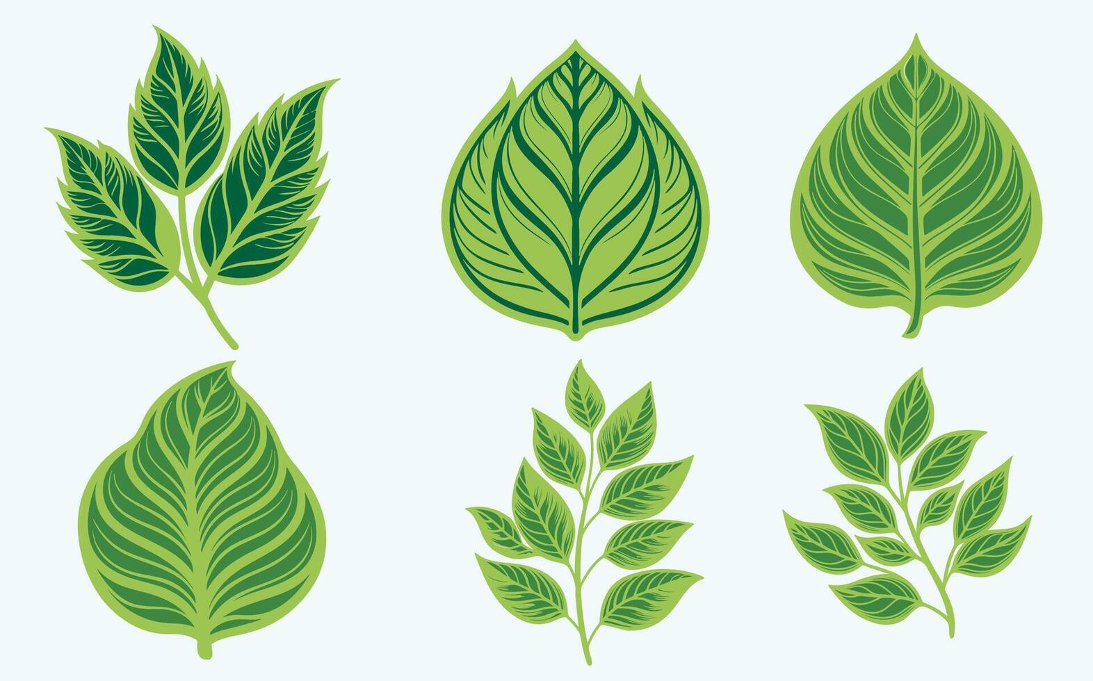 Green Leaf Vibrant Art image set vector