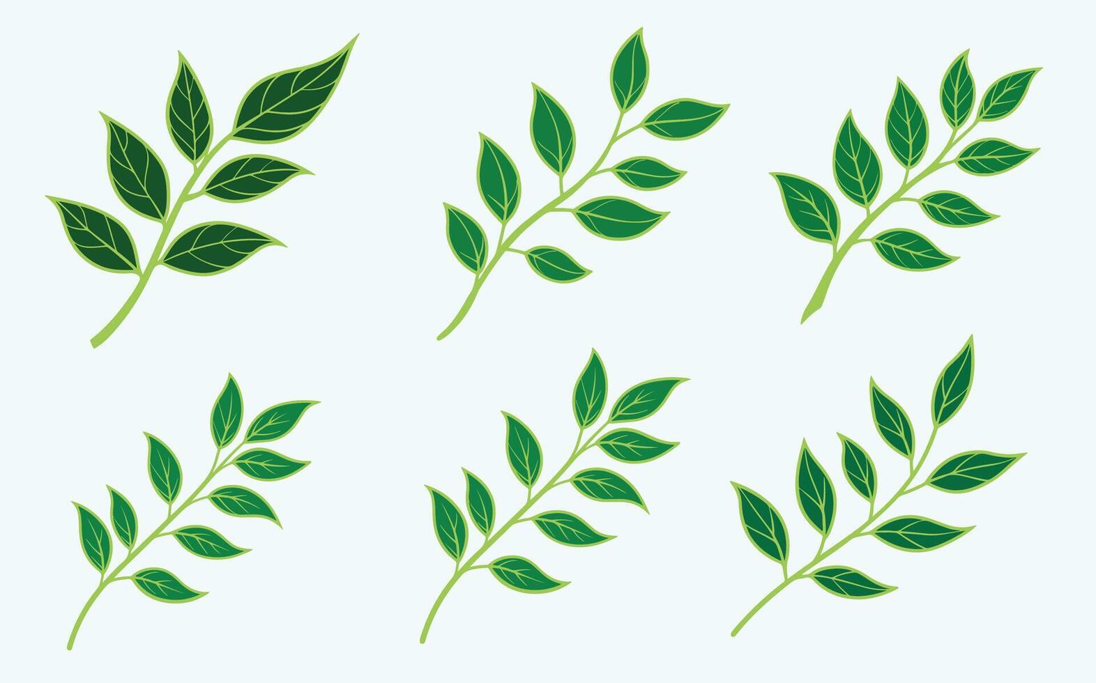 Green Leaf Vibrant Art image clipart set vector