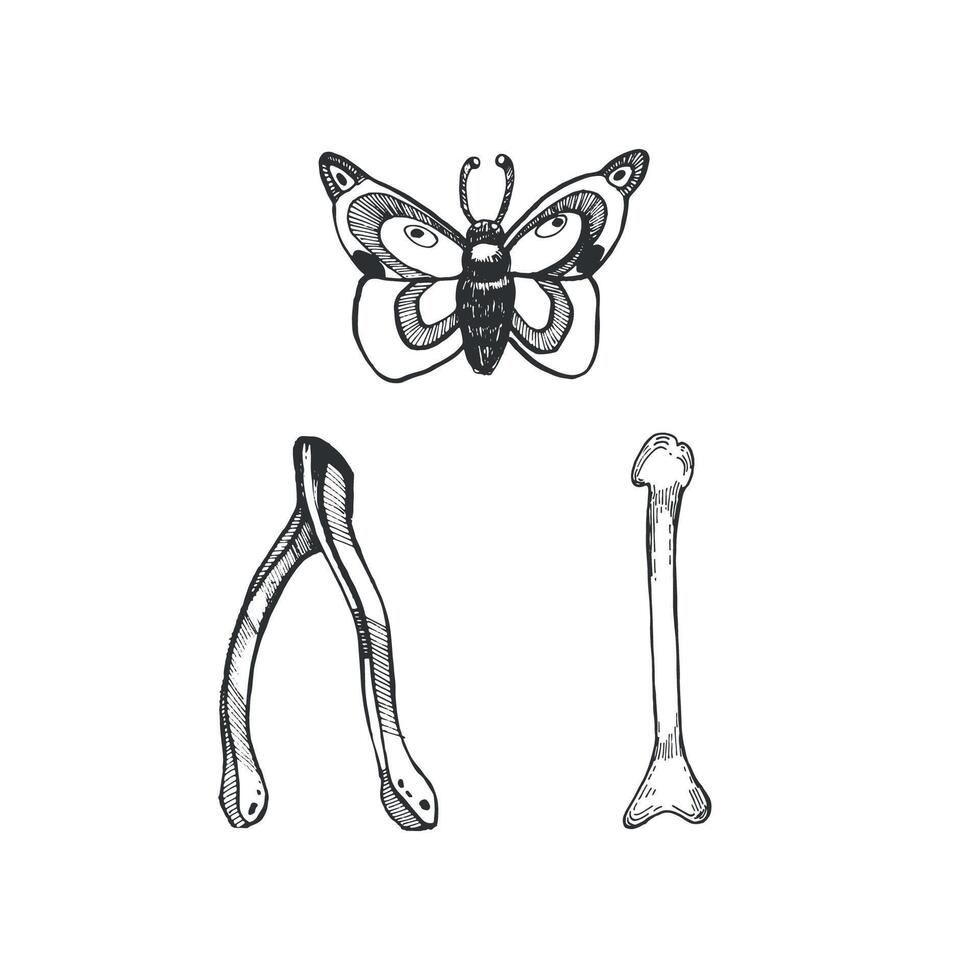 Halloween. Night butterfly, bird bones for fortune telling, all objects are hand-drawn with ink in . Halloween illustration. For printing on stickers, invitations for Halloween vector