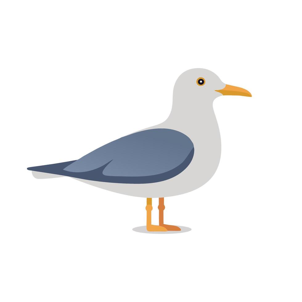 Gull animal isolated flat illustration on white background vector
