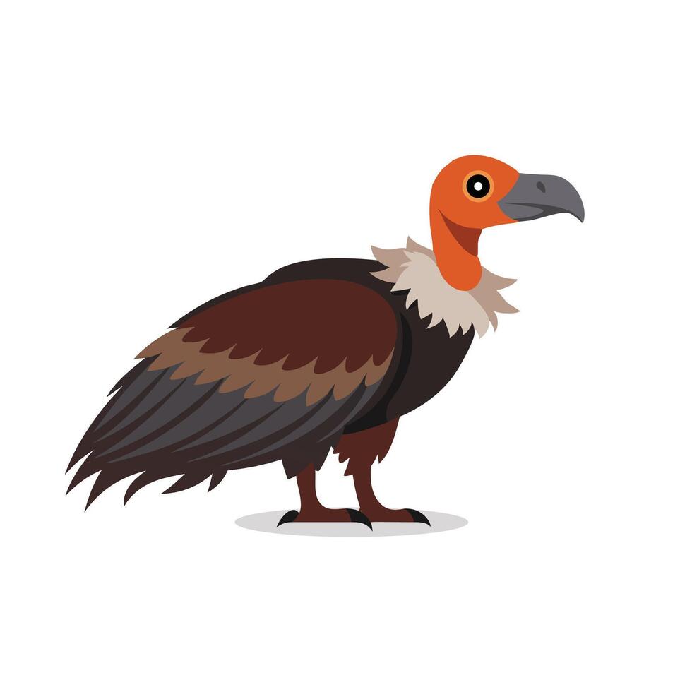 Vulture animal isolated flat illustration on white background vector
