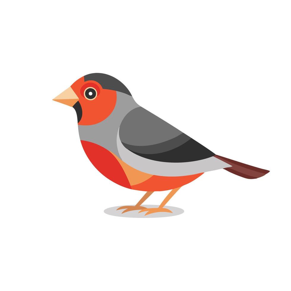 Finch animal isolated flat illustration on white background. vector