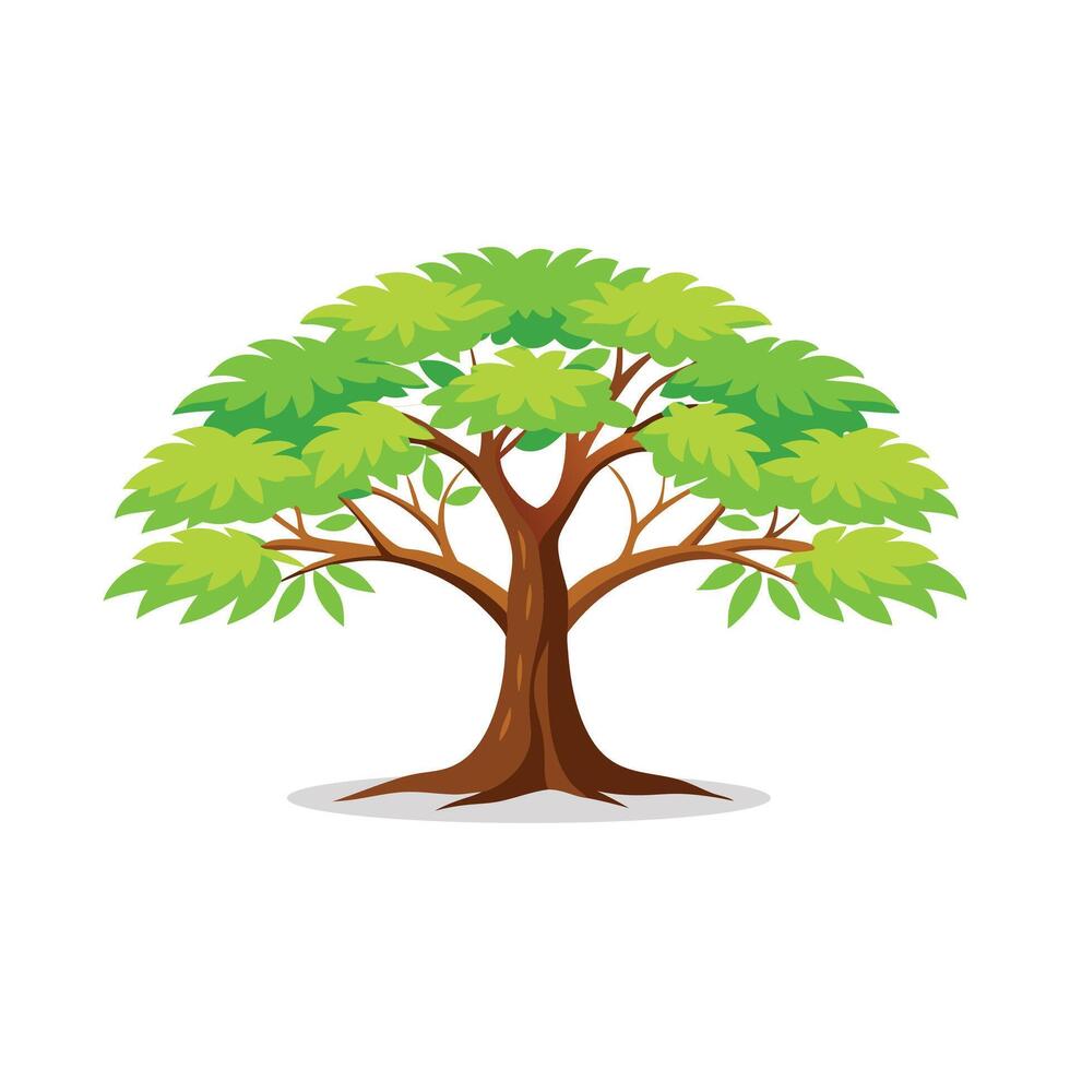 Sassafras Locust tree isolated flat illustration on white background vector