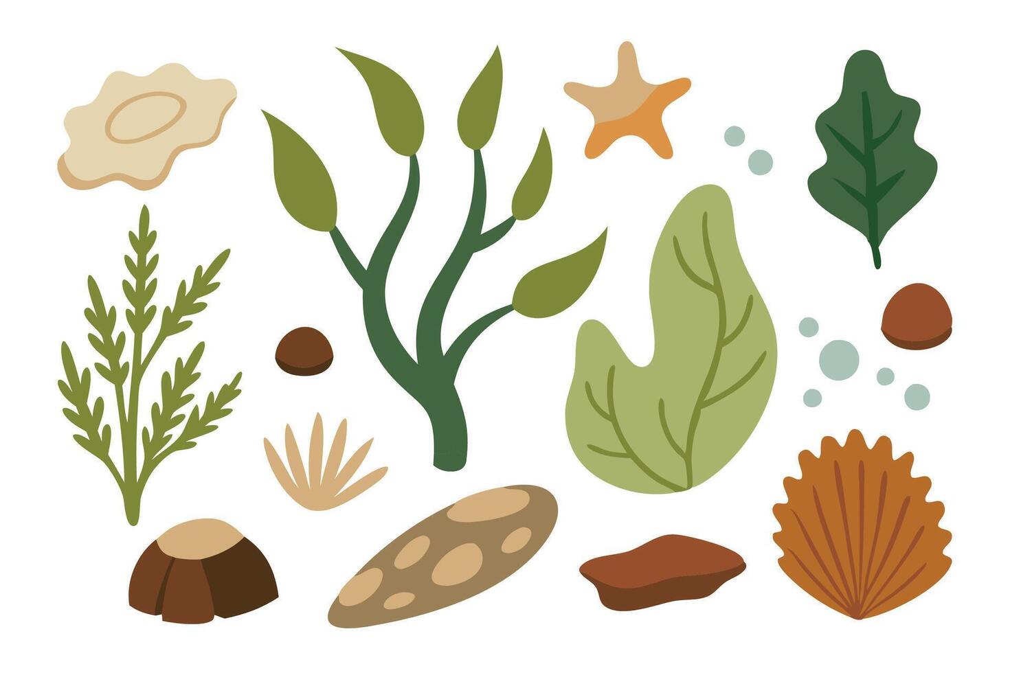Underwater element set showcasing diverse plants and animals thriving in their aquatic environment flat illustration on white background. vector