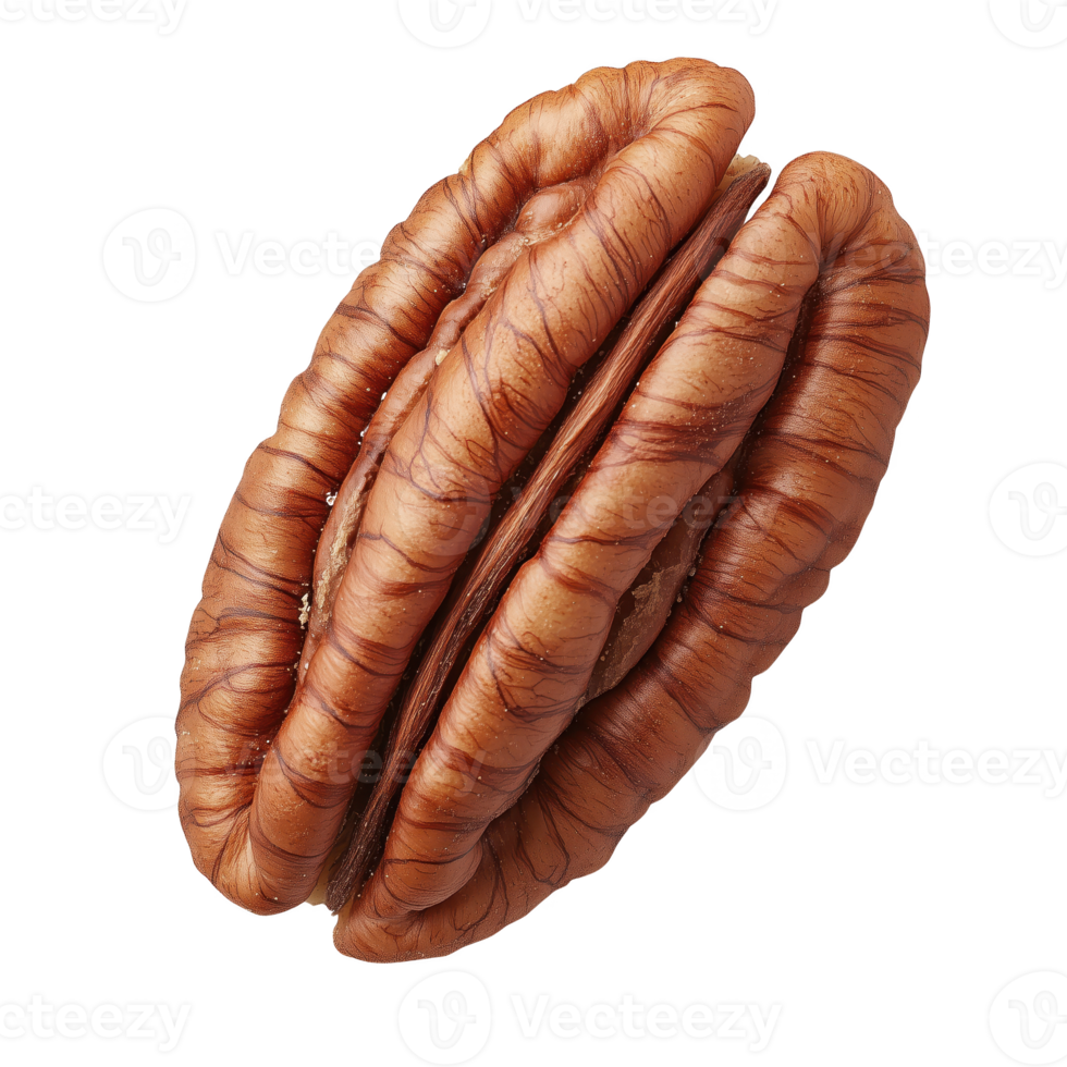 Pecan nut isolated on transparent background, showcasing its rich texture and unique shape. png